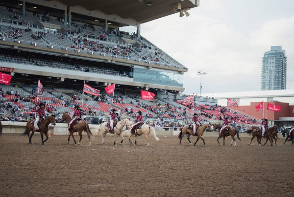 calgary stampede showriders