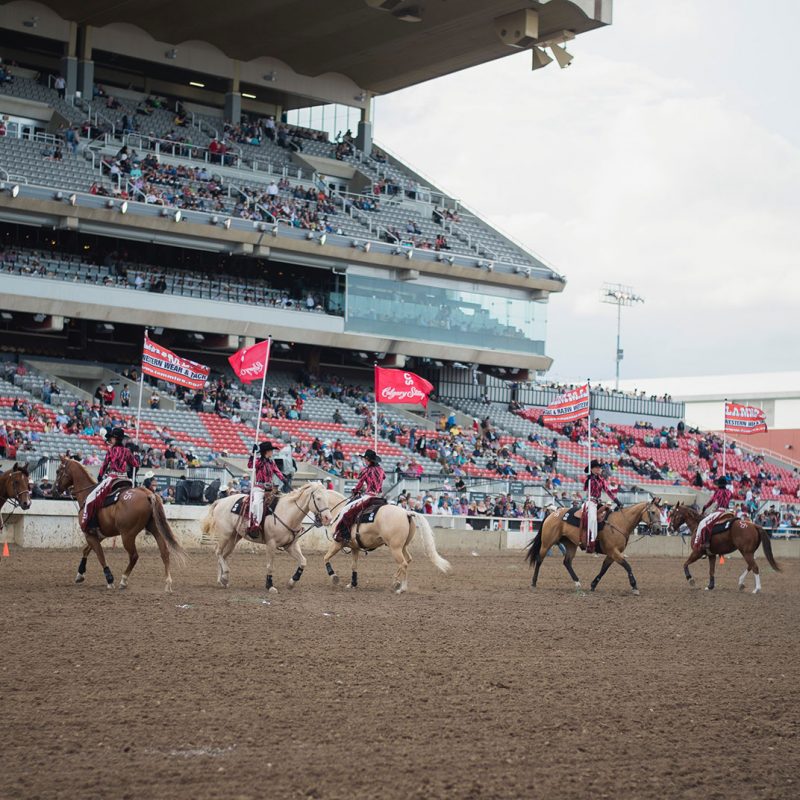 calgary stampede showriders